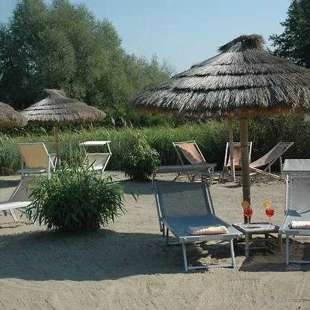 Alago Am Cambs